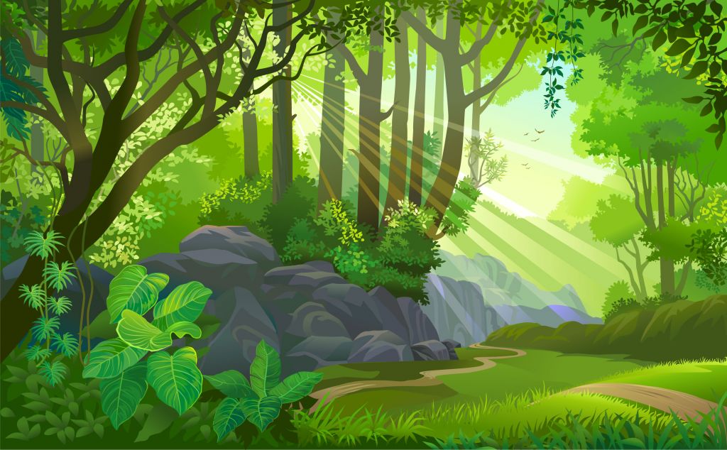 La luz del sol en la selva