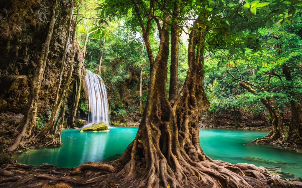 Cascada en la selva tropical