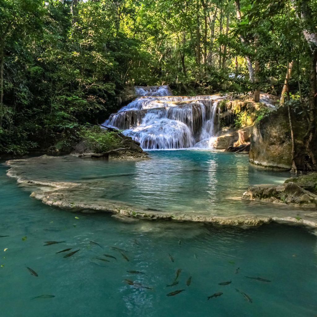 Pesca en la cascada