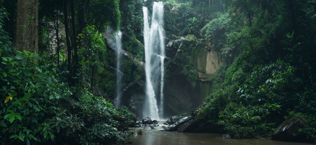 Cascada en la naturaleza