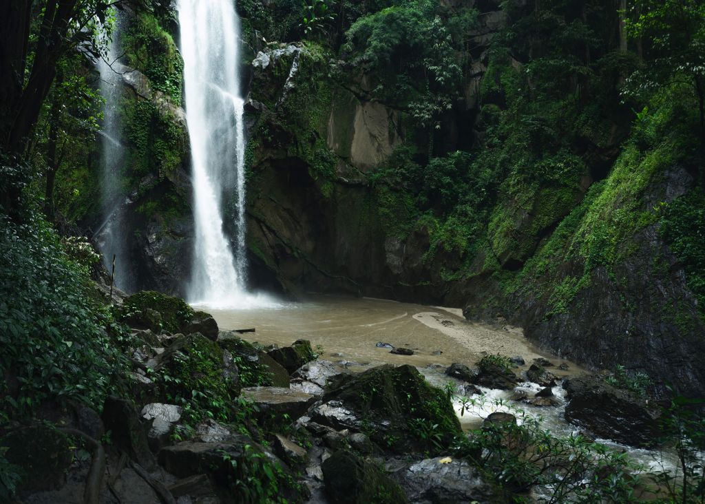 Cascada en un bosque profundo