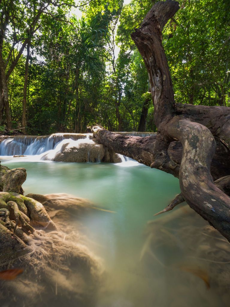 Cascada en la selva