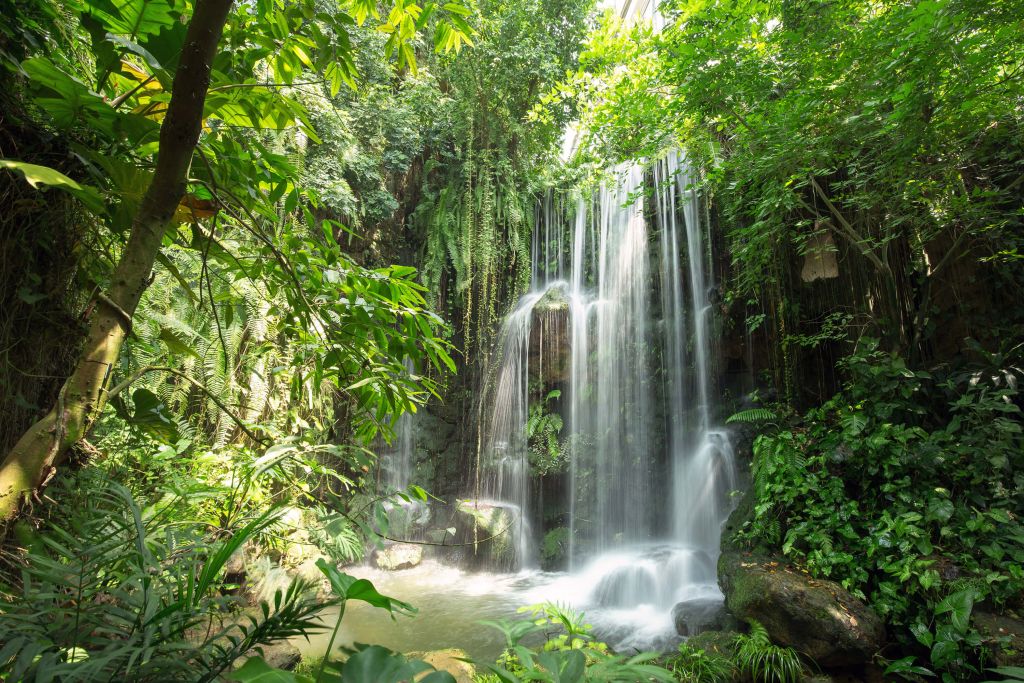 Cascadas mágicas