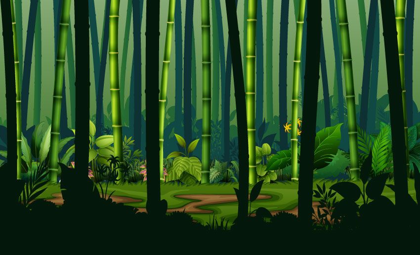 Selva con árboles de bambú