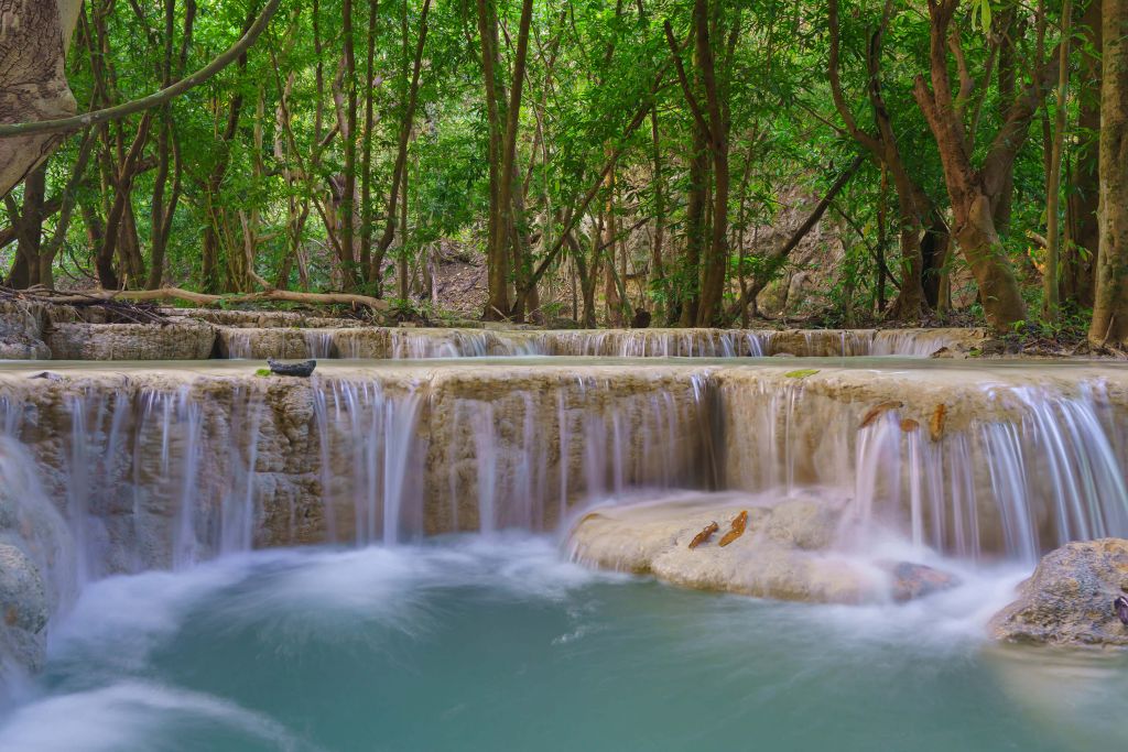 Cascada en la selva profunda