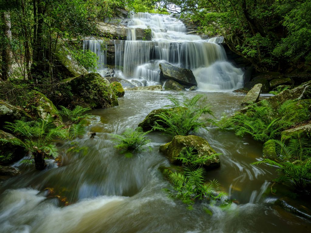 Cascada fluida