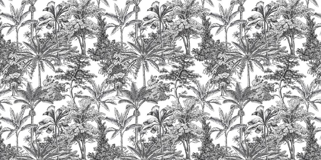 Árboles tropicales