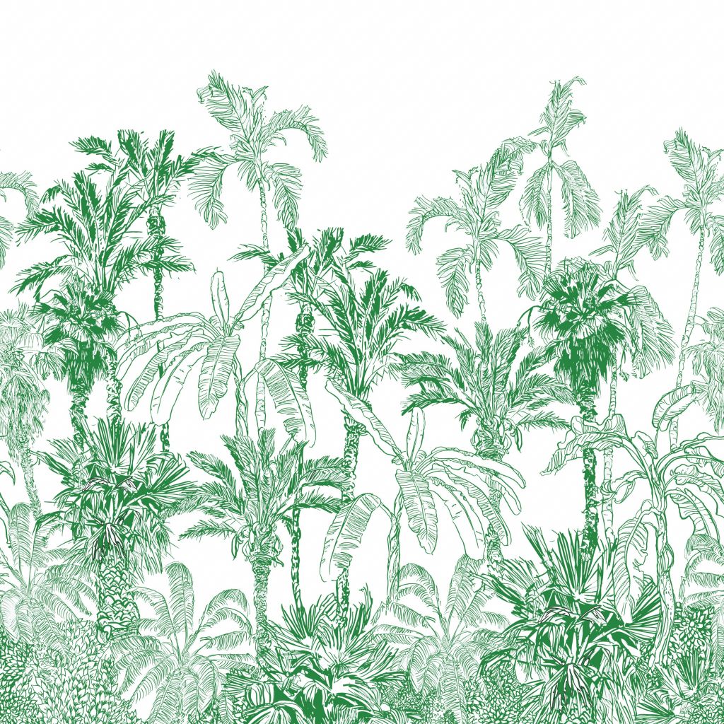 Ilustración de la selva verde