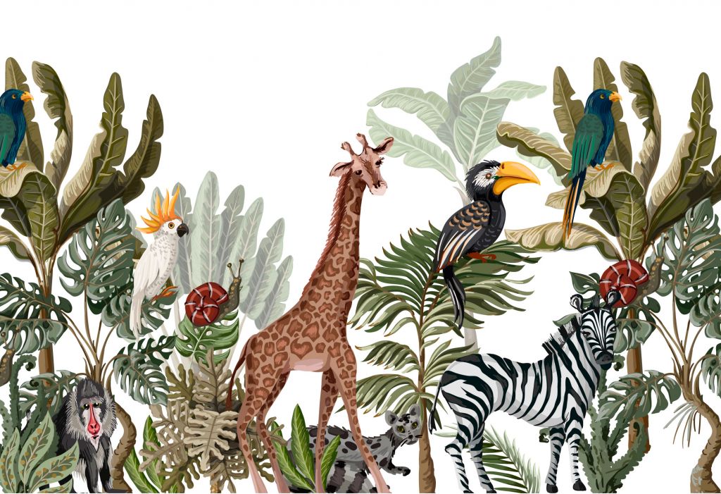 Animales de la selva