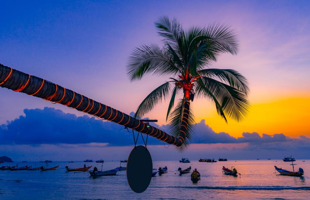Palmera con luces