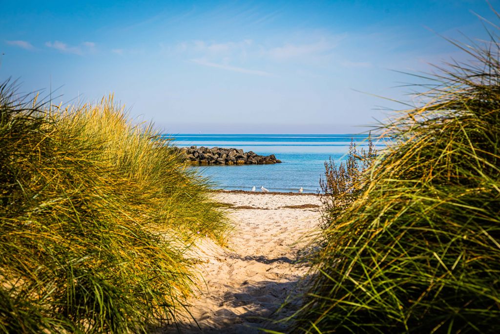 Playa en la costa del Mar Báltico