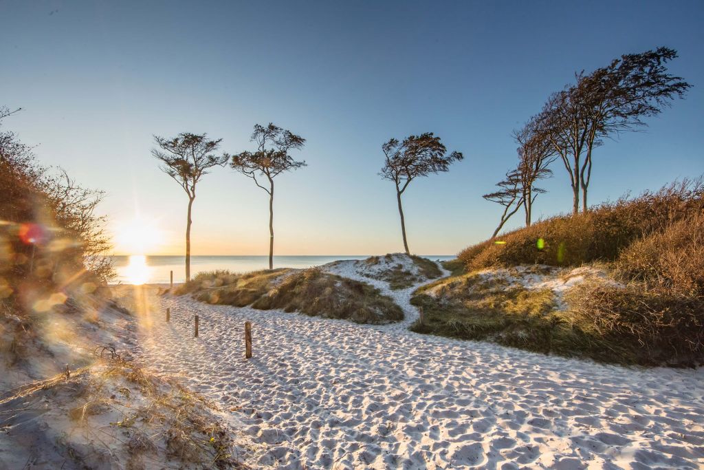 Playa en el Mar Báltico