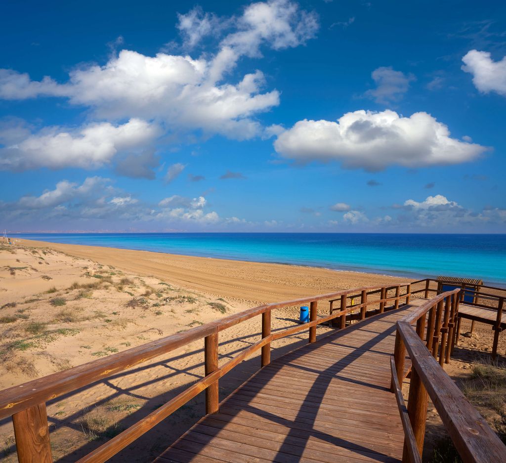 Camino de la playa