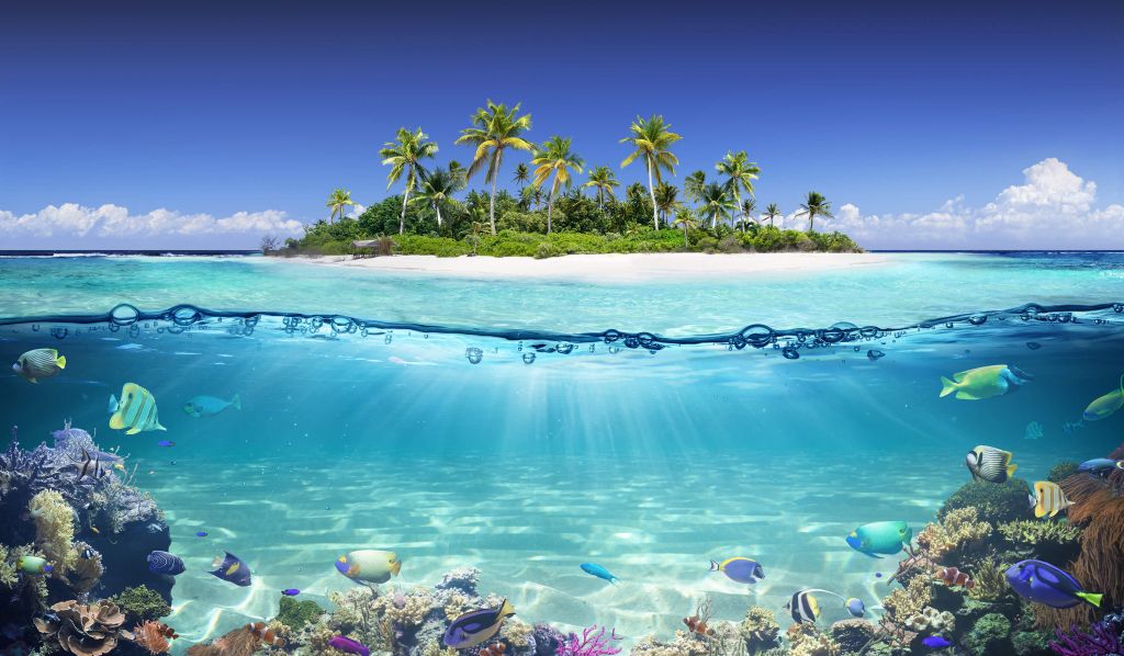 Isla tropical y arrecife de coral