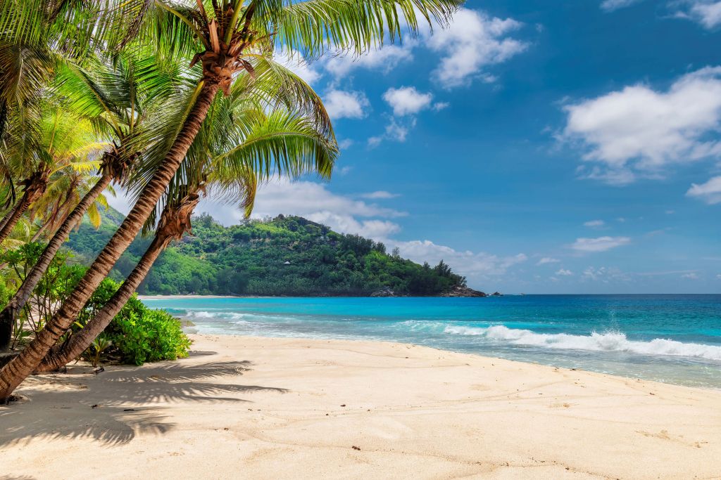 Hermosa playa con palmeras