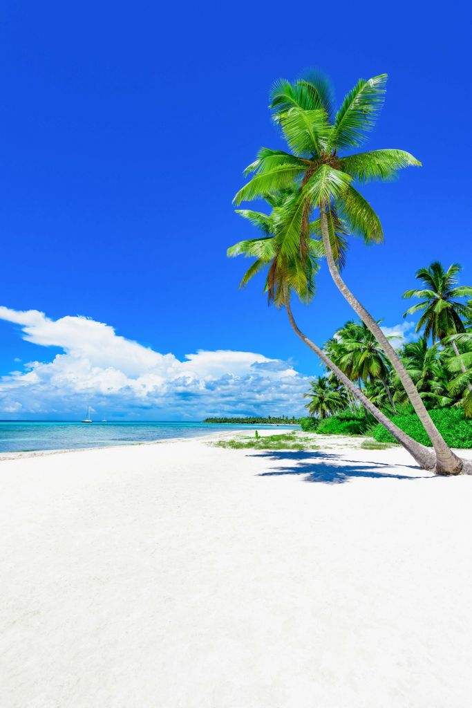 Playa tropical paradisíaca