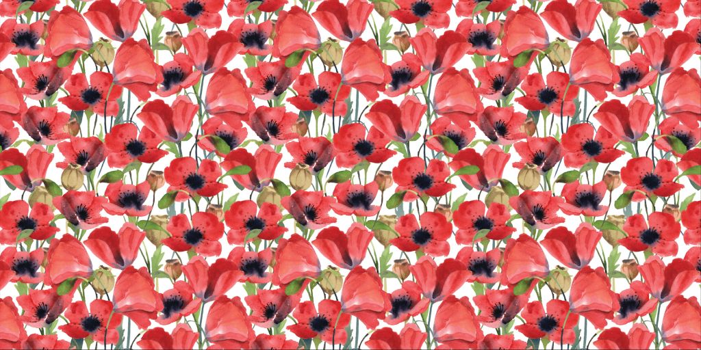 Amapolas rojas