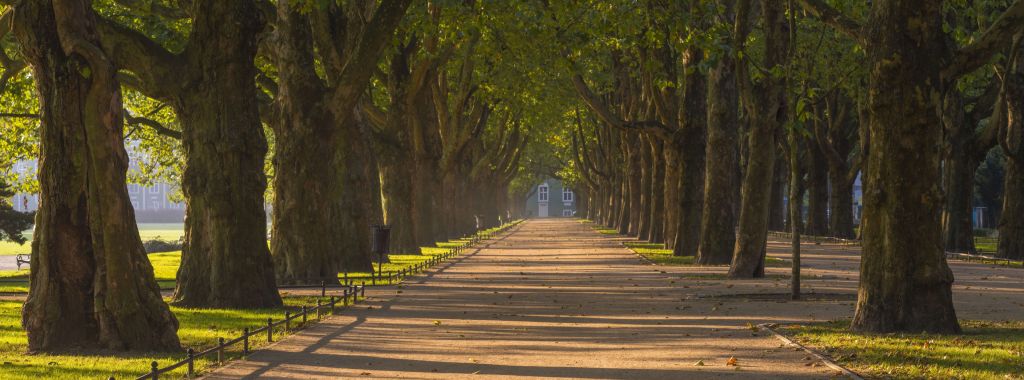 Parque en otoño