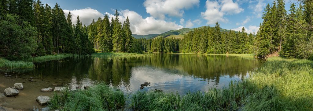 Lago en el bosque