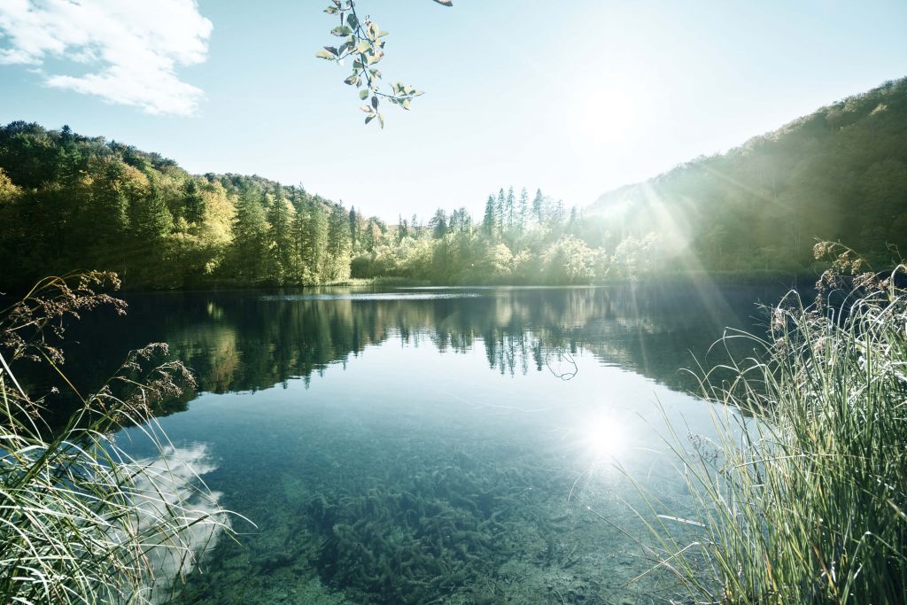 Lago en el bosque