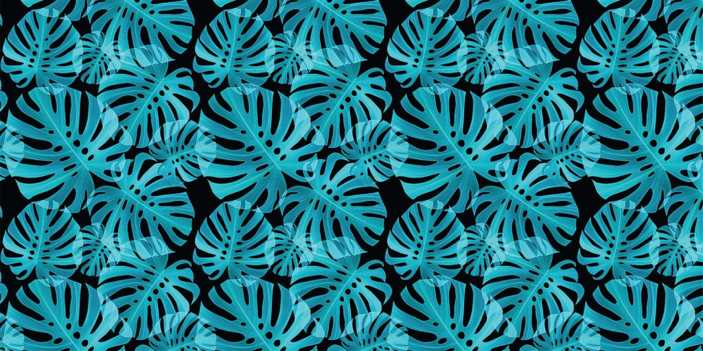 Monstera azul