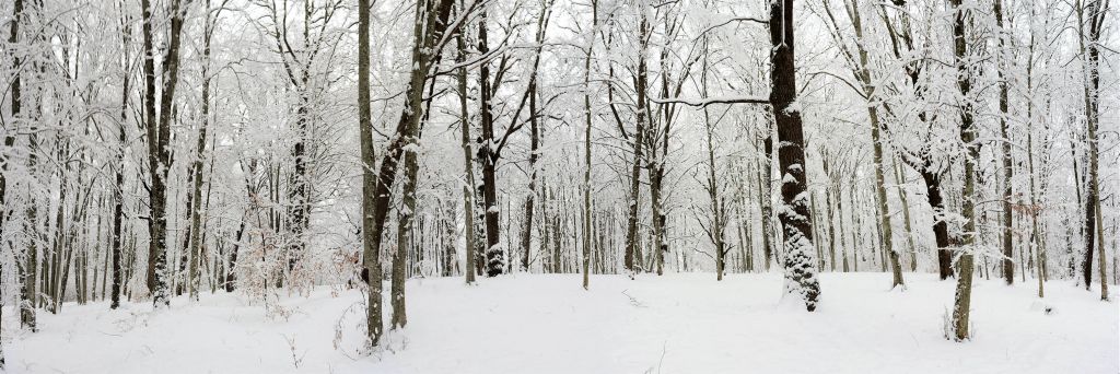 Panorama invernal