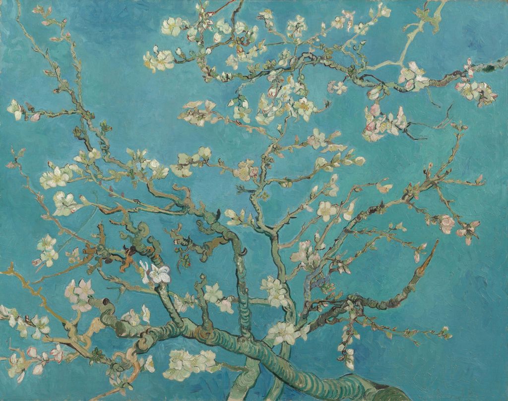 Almendro en flor pintado (Van Gogh)
