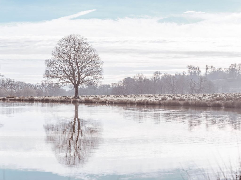 Lago de invierno