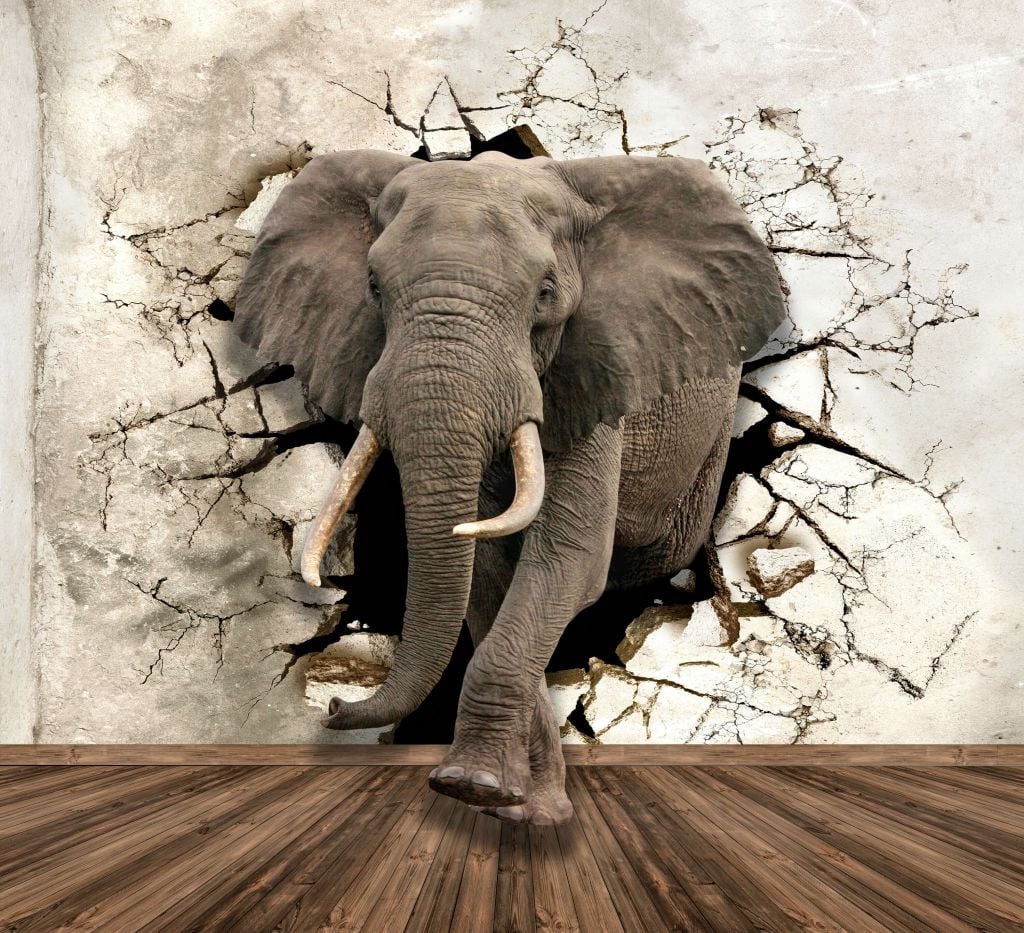 El gran elefante de la pared