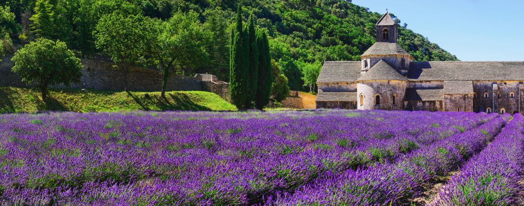 Campo de lavanda de hadas