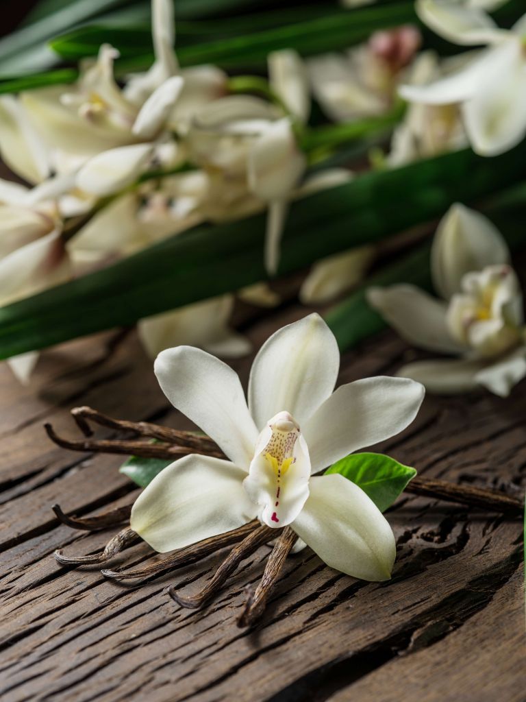 Palitos de flores y vainilla