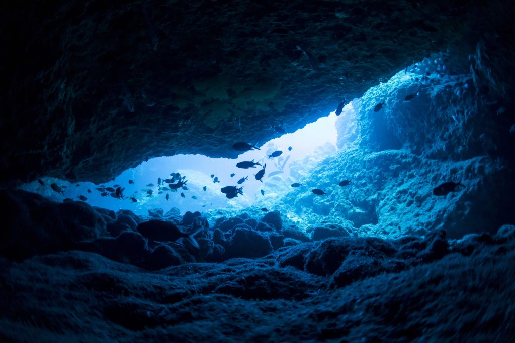 Cueva estrecha con peces