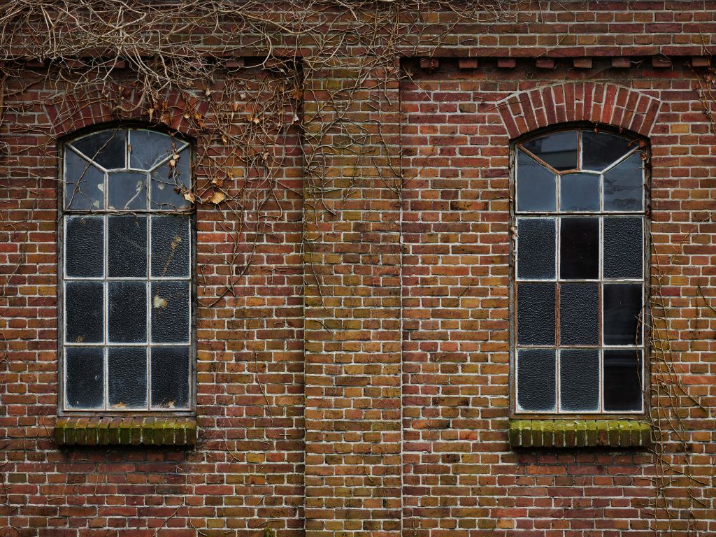 Ventanas en una antigua fábrica