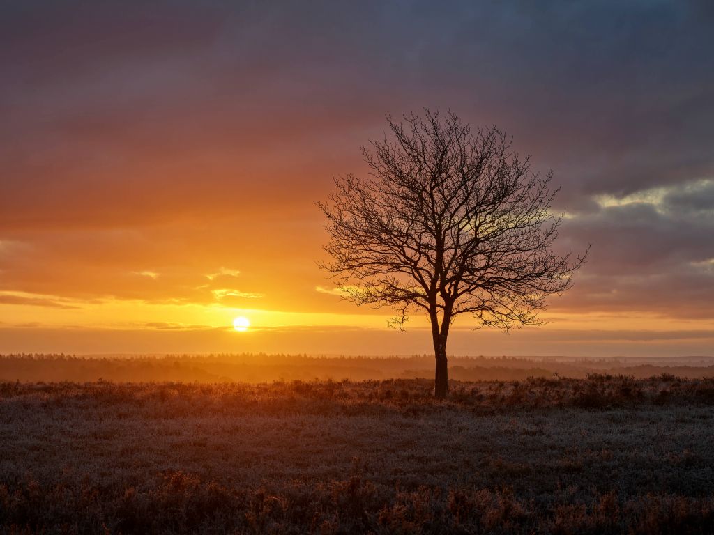 Colorido amanecer en el páramo