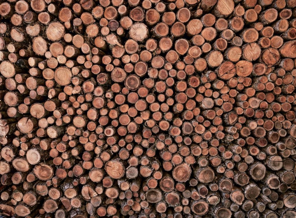 Gran pila de troncos