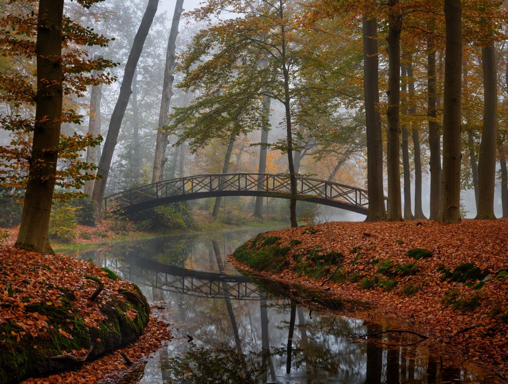 Puente en el bosque de otoño