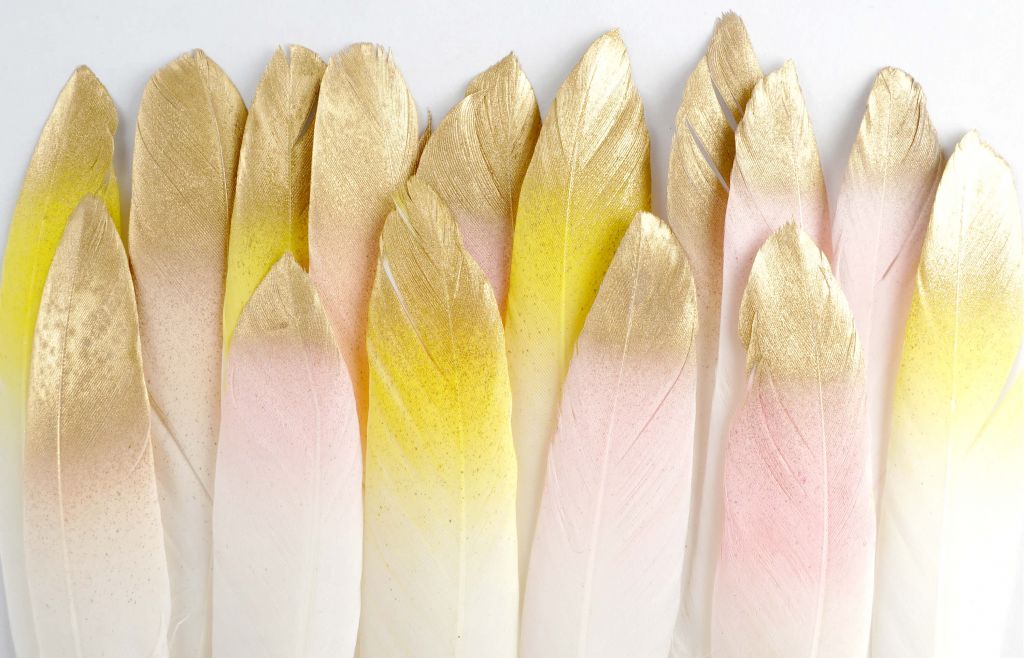 Plumas de oro