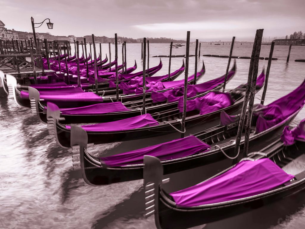 Barcos de color púrpura
