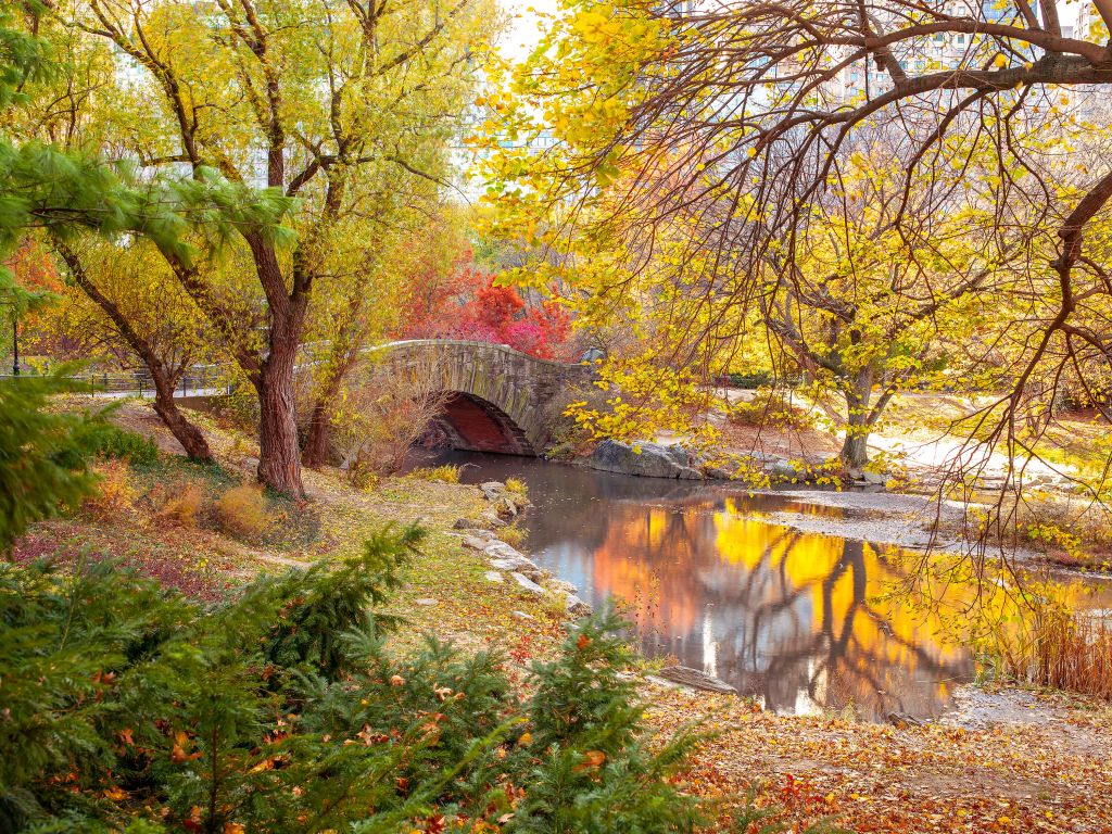 Parque de colores