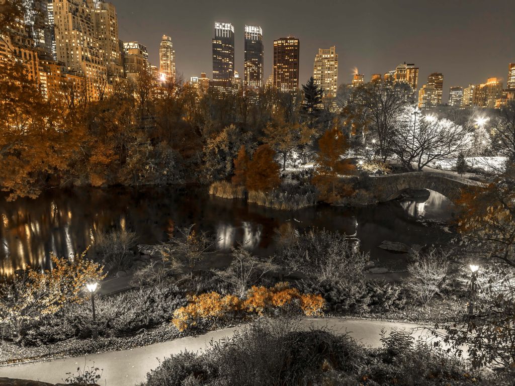 Parque por la noche