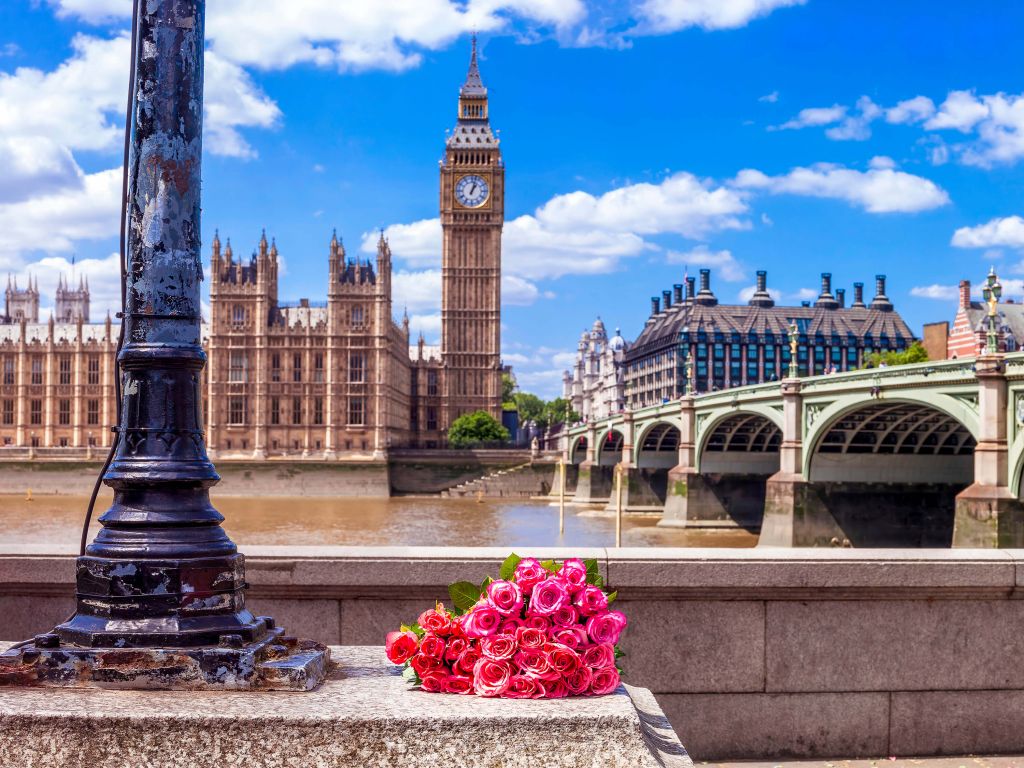 Rosas rosas en Londres