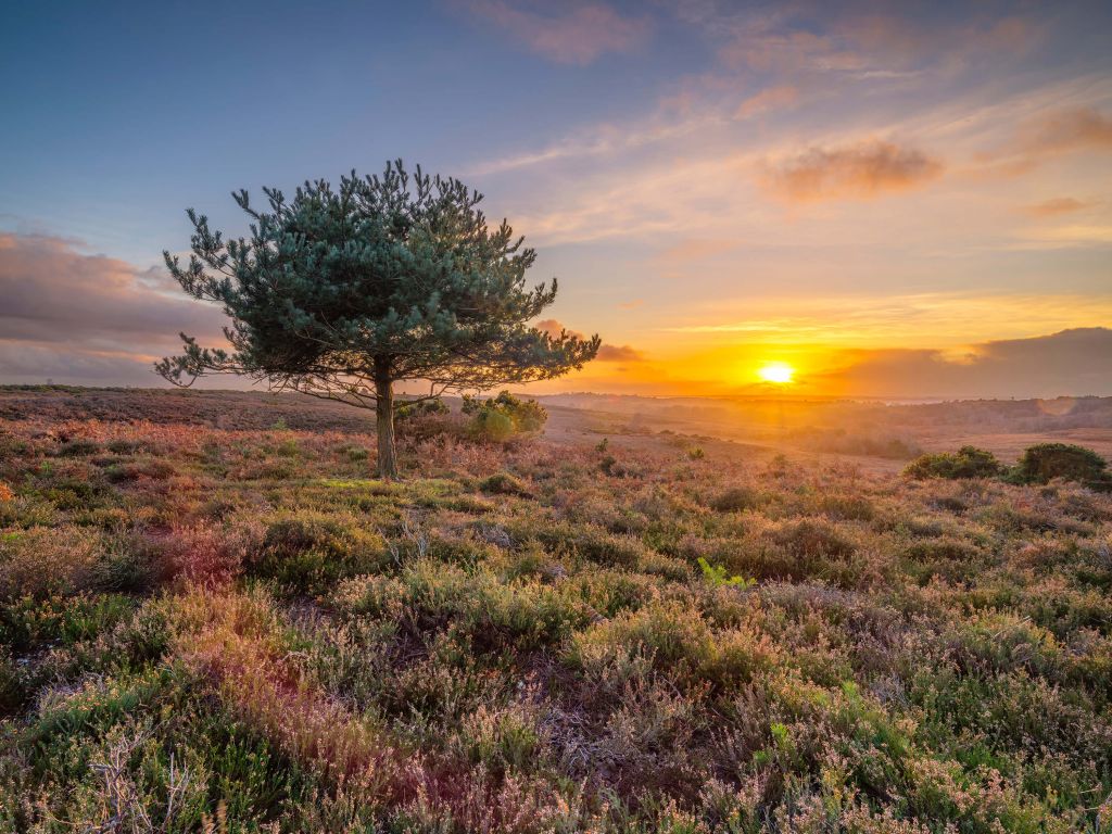 Puesta de sol en el páramo