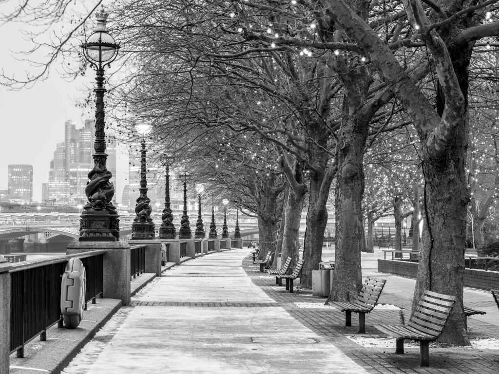 Parque en Londres