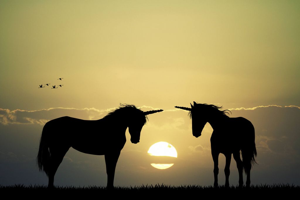 Unicornios al atardecer