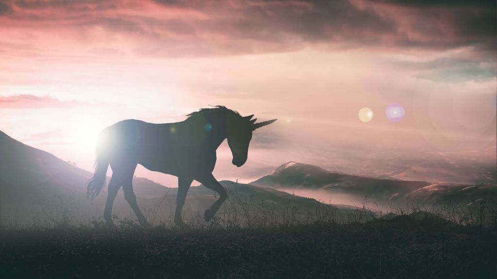 Unicornio al atardecer