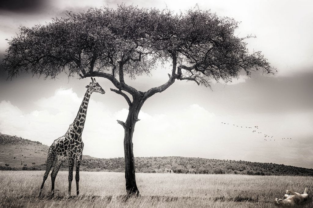 Under the African sun