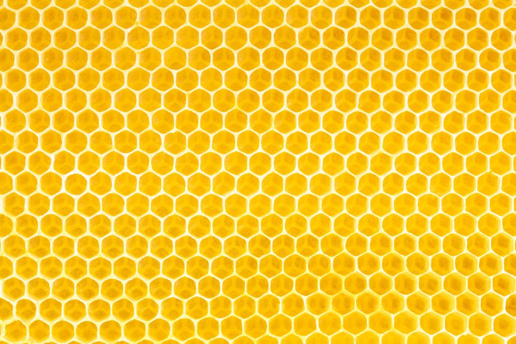 Nido de abeja
