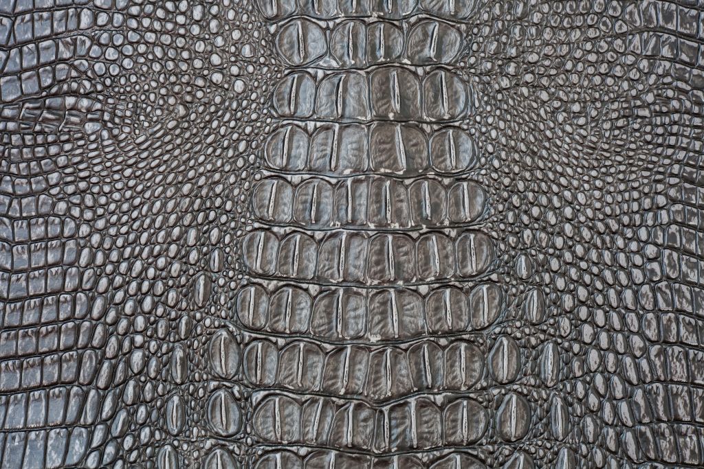 Textura de piel de cocodrilo