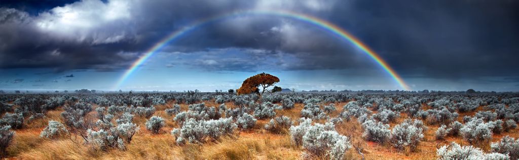 Paisaje desierto