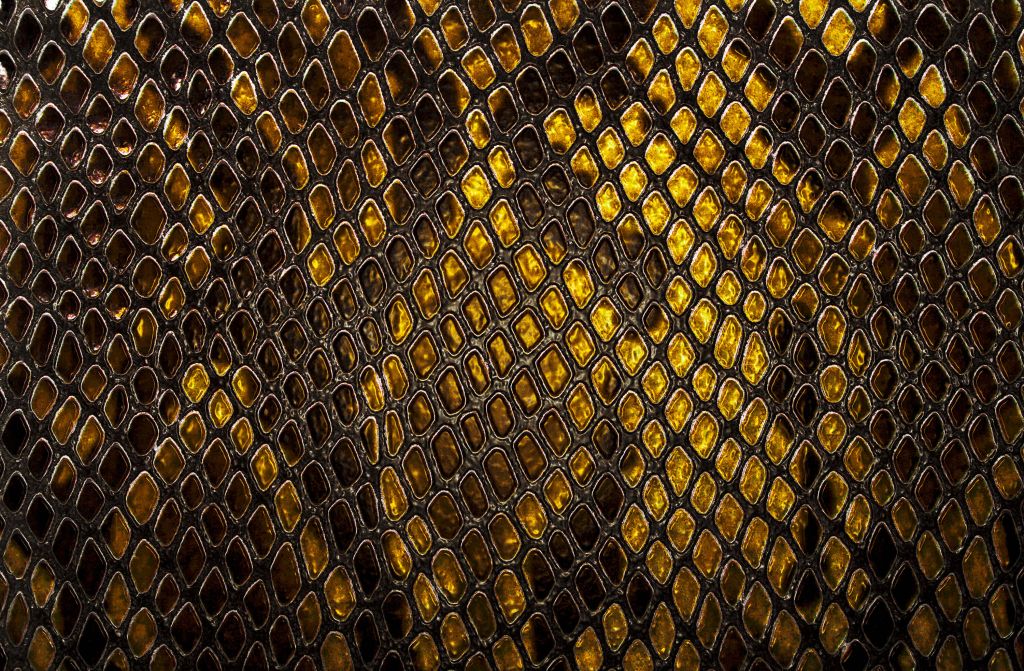 Piel de serpiente